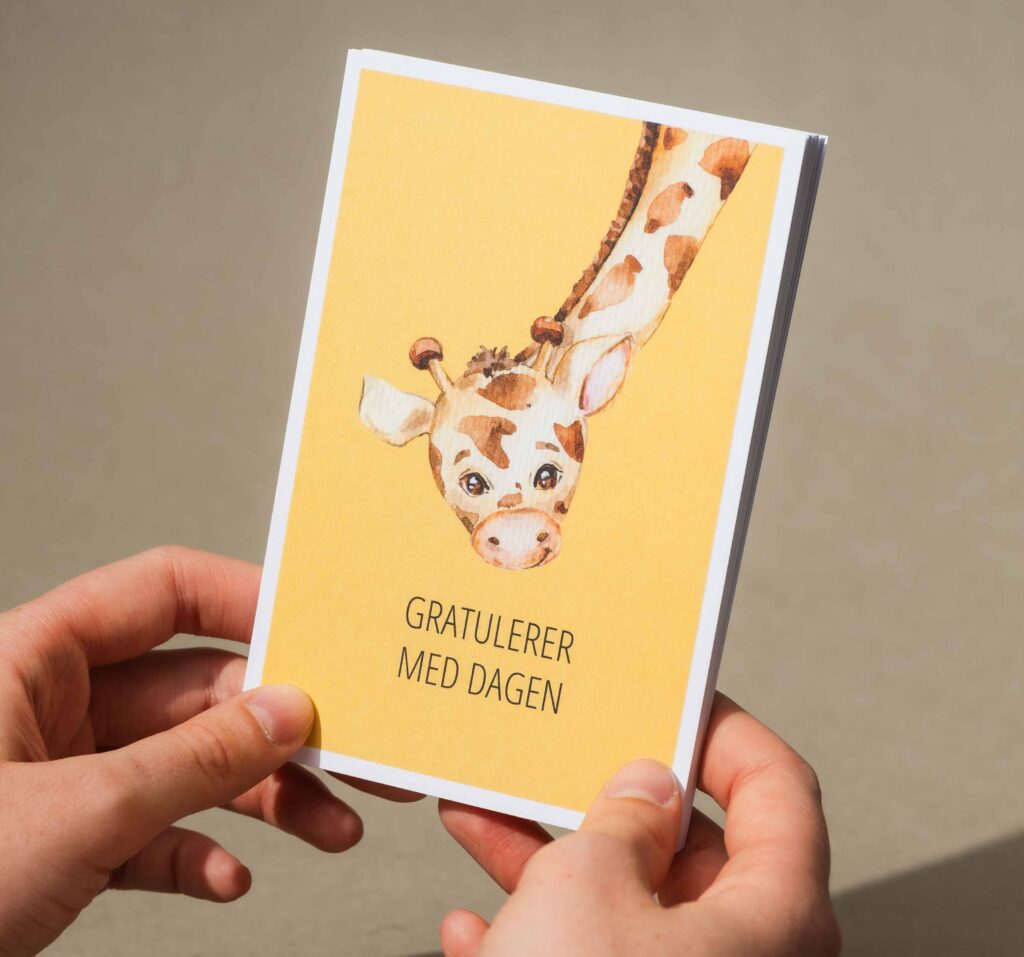 Dugnadstid_Bursdag2_5