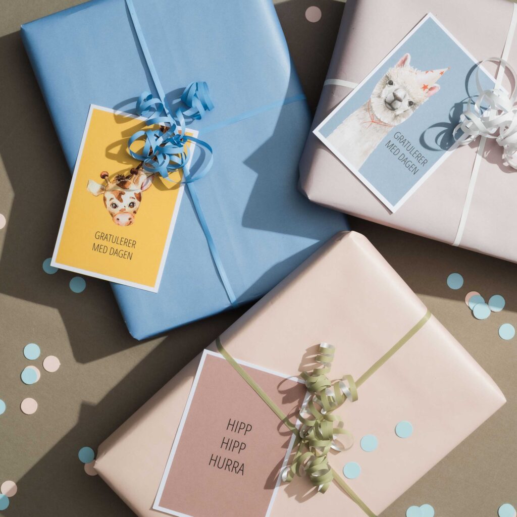 Dugnadstid_Bursdag2_9