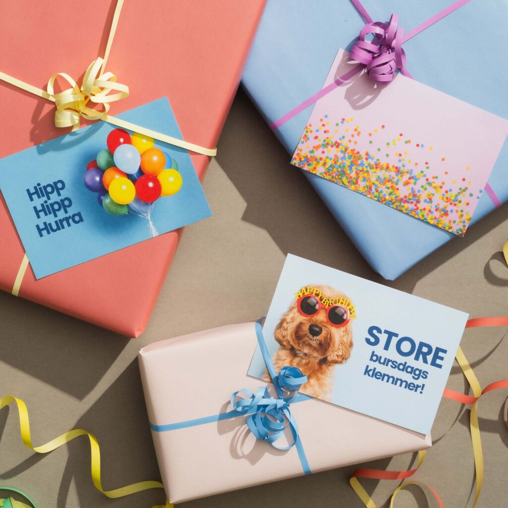 Dugnadstid_Bursdag3_5