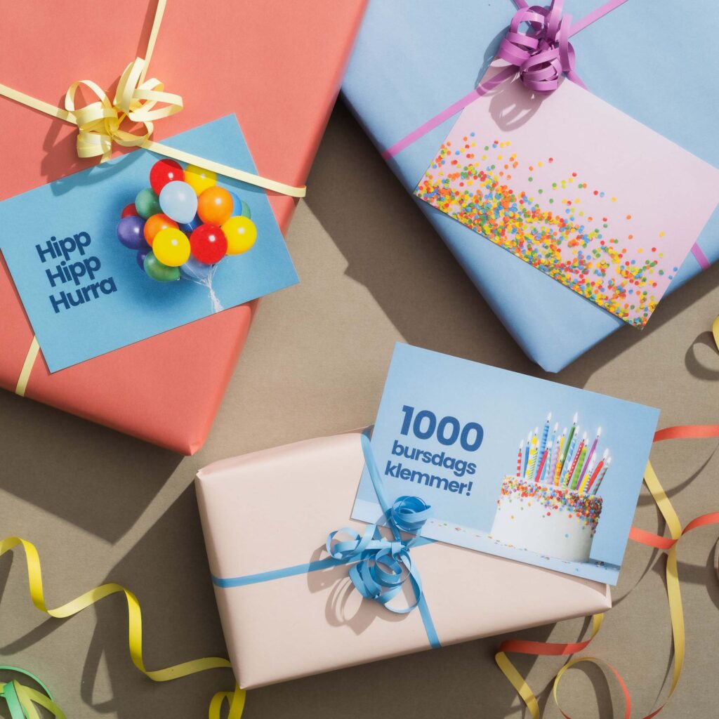 Dugnadstid_Bursdag3_6